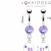 Forbidden Body Jewelry Forbidden Body Jewelry Surgical Steel Set Of Best Friend Matching Purple Gem Dangle Heart Belly Button Rings | Body Piercing Barbells