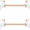 CHARM ONLINE Charm Online 2Pcs 14G 316L Stainless Steel Clear Cz Heart Nipple Rings Nipple Piercings Jewelry For Women | Body Piercing Barbells